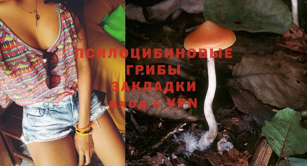 PSILOCYBIN Верея