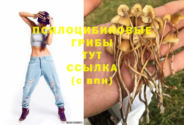 меф Новокубанск