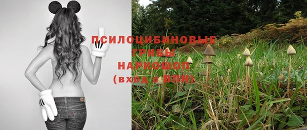герыч Новозыбков