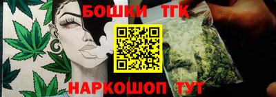 прущие крисы Гатчина