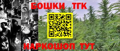 прущие крисы Гатчина