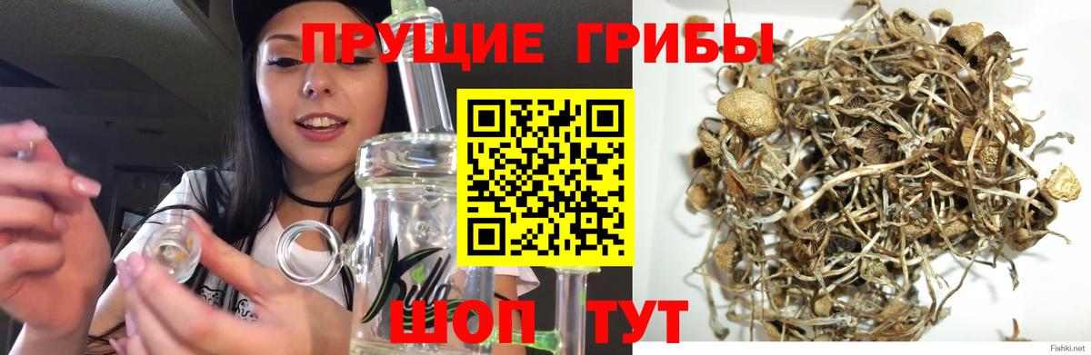 Галлюциногенные грибы Magic Shrooms Октябрьский